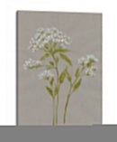 Flores De Campo Blanco Iv - Jennifer Goldberger | Cuadro decorativo de Canvas Lab