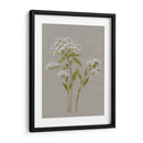 Flores De Campo Blanco Iv - Jennifer Goldberger | Cuadro decorativo de Canvas Lab