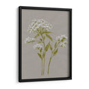 Flores De Campo Blanco Iv - Jennifer Goldberger | Cuadro decorativo de Canvas Lab