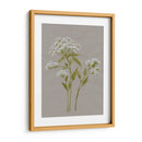 Flores De Campo Blanco Iv - Jennifer Goldberger | Cuadro decorativo de Canvas Lab