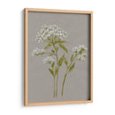 Flores De Campo Blanco Iv - Jennifer Goldberger | Cuadro decorativo de Canvas Lab