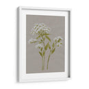Flores De Campo Blanco Iv - Jennifer Goldberger | Cuadro decorativo de Canvas Lab