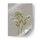 Flores De Campo Blanco Iv - Jennifer Goldberger | Cuadro decorativo de Canvas Lab