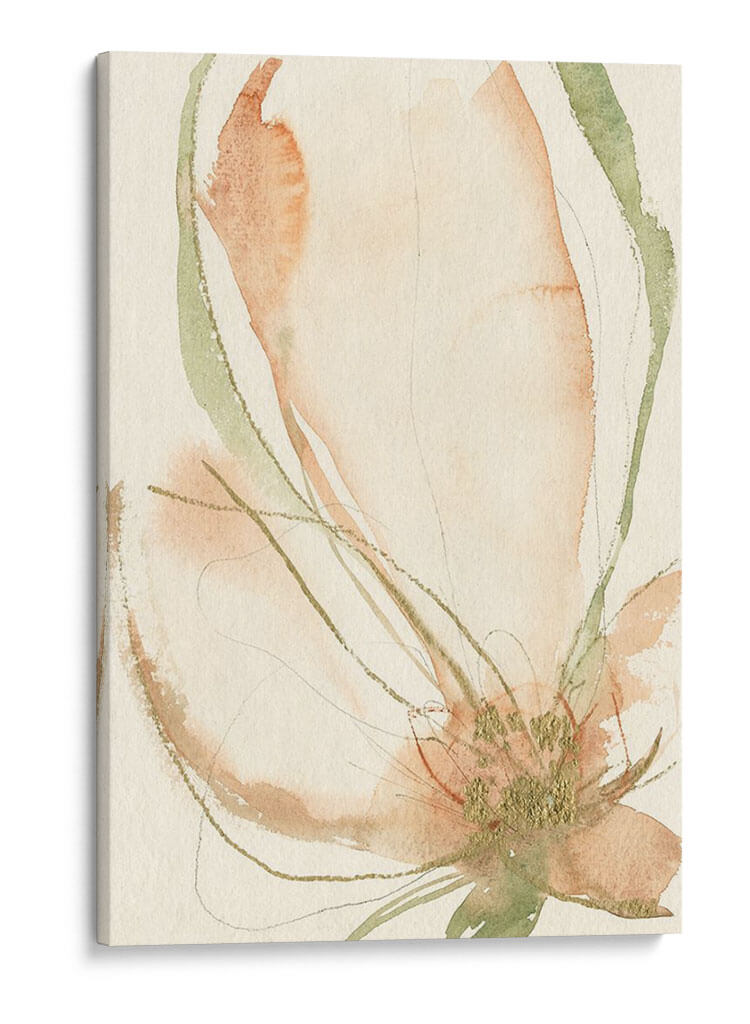 Bocetos De Pétalos I - Jennifer Goldberger | Cuadro decorativo de Canvas Lab