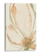 Bocetos De Pétalos I - Jennifer Goldberger | Cuadro decorativo de Canvas Lab