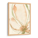 Bocetos De Pétalos I - Jennifer Goldberger | Cuadro decorativo de Canvas Lab