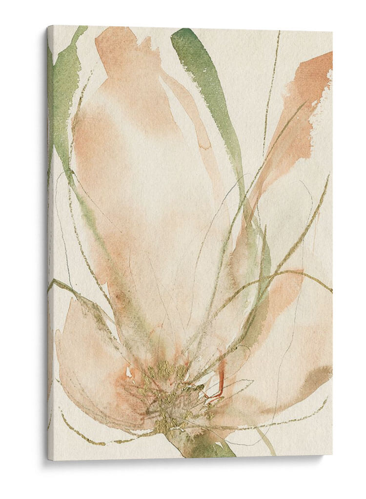 Bocetos De Pétalos Ii - Jennifer Goldberger | Cuadro decorativo de Canvas Lab