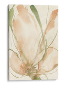 Bocetos De Pétalos Ii - Jennifer Goldberger | Cuadro decorativo de Canvas Lab