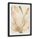 Bocetos De Pétalos Ii - Jennifer Goldberger | Cuadro decorativo de Canvas Lab