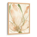 Bocetos De Pétalos Ii - Jennifer Goldberger | Cuadro decorativo de Canvas Lab