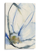 Cobalt Y Paynes Petals Ii - Jennifer Goldberger | Cuadro decorativo de Canvas Lab