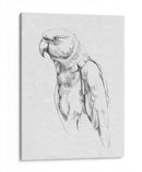 Retrato Loro I - Gerard Paul Deshayes | Cuadro decorativo de Canvas Lab
