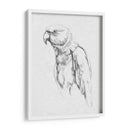 Retrato Loro I - Gerard Paul Deshayes | Cuadro decorativo de Canvas Lab