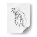 Retrato Loro I - Gerard Paul Deshayes | Cuadro decorativo de Canvas Lab