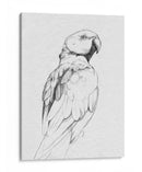Retrato Loro Ii - Gerard Paul Deshayes | Cuadro decorativo de Canvas Lab
