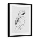 Retrato Loro Ii - Gerard Paul Deshayes | Cuadro decorativo de Canvas Lab