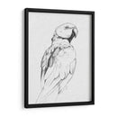 Retrato Loro Ii - Gerard Paul Deshayes | Cuadro decorativo de Canvas Lab