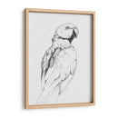 Retrato Loro Ii - Gerard Paul Deshayes | Cuadro decorativo de Canvas Lab