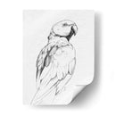 Retrato Loro Ii - Gerard Paul Deshayes | Cuadro decorativo de Canvas Lab