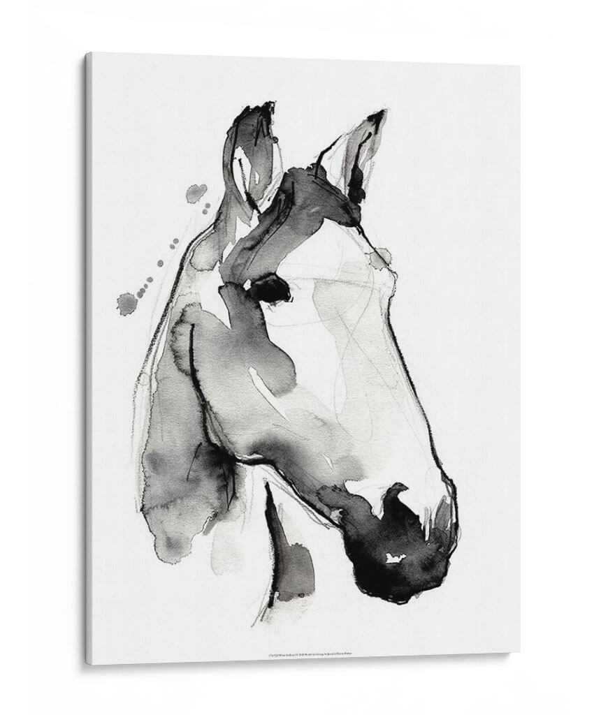 Stallión Blanca I - Jennifer Paxton Parker | Cuadro decorativo de Canvas Lab