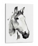 Stallión Blanca I - Jennifer Paxton Parker | Cuadro decorativo de Canvas Lab