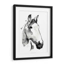 Stallión Blanca I - Jennifer Paxton Parker | Cuadro decorativo de Canvas Lab