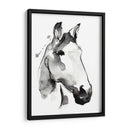 Stallión Blanca I - Jennifer Paxton Parker | Cuadro decorativo de Canvas Lab