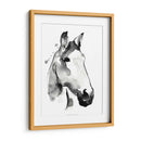 Stallión Blanca I - Jennifer Paxton Parker | Cuadro decorativo de Canvas Lab