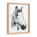 Stallión Blanca I - Jennifer Paxton Parker | Cuadro decorativo de Canvas Lab