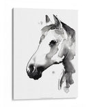 Stallion Blanco Ii - Jennifer Paxton Parker | Cuadro decorativo de Canvas Lab