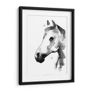 Stallion Blanco Ii - Jennifer Paxton Parker | Cuadro decorativo de Canvas Lab