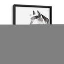 Stallion Blanco Ii - Jennifer Paxton Parker | Cuadro decorativo de Canvas Lab