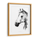 Stallion Blanco Ii - Jennifer Paxton Parker | Cuadro decorativo de Canvas Lab