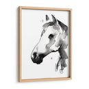Stallion Blanco Ii - Jennifer Paxton Parker | Cuadro decorativo de Canvas Lab