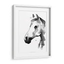 Stallion Blanco Ii - Jennifer Paxton Parker | Cuadro decorativo de Canvas Lab