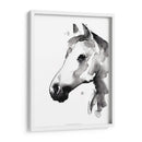 Stallion Blanco Ii - Jennifer Paxton Parker | Cuadro decorativo de Canvas Lab