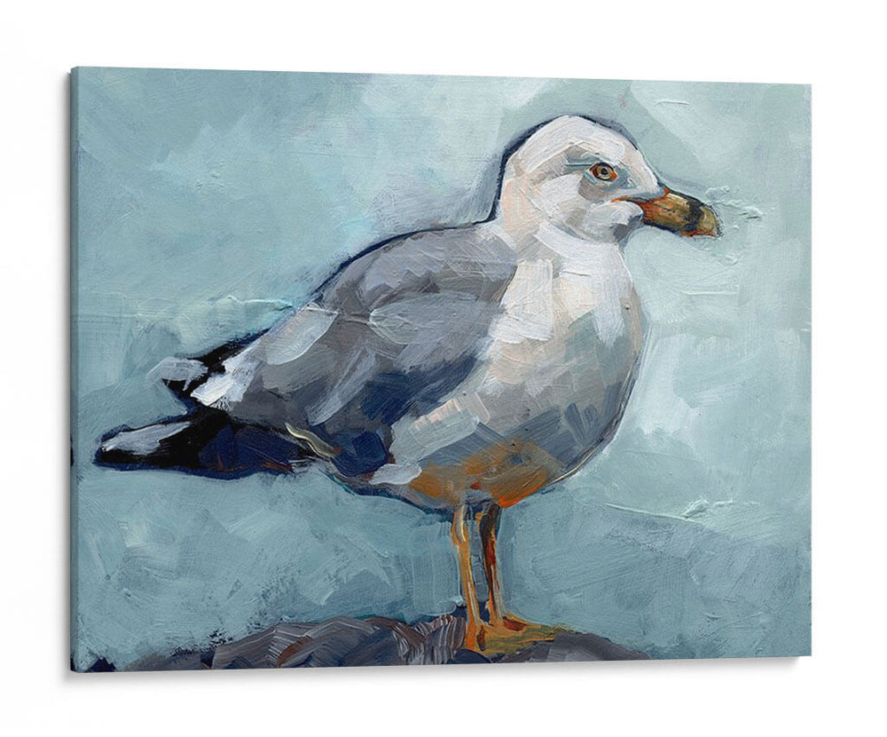 Postura De La Gaviota I - Jennifer Paxton Parker | Cuadro decorativo de Canvas Lab