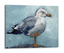 Postura De La Gaviota I - Jennifer Paxton Parker | Cuadro decorativo de Canvas Lab