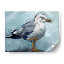 Postura De La Gaviota I - Jennifer Paxton Parker | Cuadro decorativo de Canvas Lab