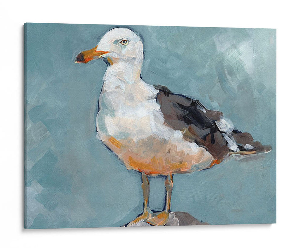 Postura De La Gaviota Ii - Jennifer Paxton Parker | Cuadro decorativo de Canvas Lab