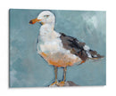 Postura De La Gaviota Ii - Jennifer Paxton Parker | Cuadro decorativo de Canvas Lab
