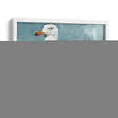 Postura De La Gaviota Ii - Jennifer Paxton Parker | Cuadro decorativo de Canvas Lab