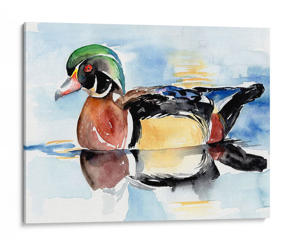 Acuarela Woodduck I - Jennifer Paxton Parker | Cuadro decorativo de Canvas Lab