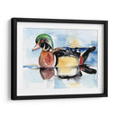 Acuarela Woodduck I - Jennifer Paxton Parker | Cuadro decorativo de Canvas Lab