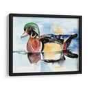 Acuarela Woodduck I - Jennifer Paxton Parker | Cuadro decorativo de Canvas Lab