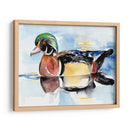Acuarela Woodduck I - Jennifer Paxton Parker | Cuadro decorativo de Canvas Lab