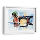 Acuarela Woodduck I - Jennifer Paxton Parker | Cuadro decorativo de Canvas Lab