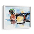 Acuarela Woodduck I - Jennifer Paxton Parker | Cuadro decorativo de Canvas Lab