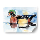 Acuarela Woodduck I - Jennifer Paxton Parker | Cuadro decorativo de Canvas Lab