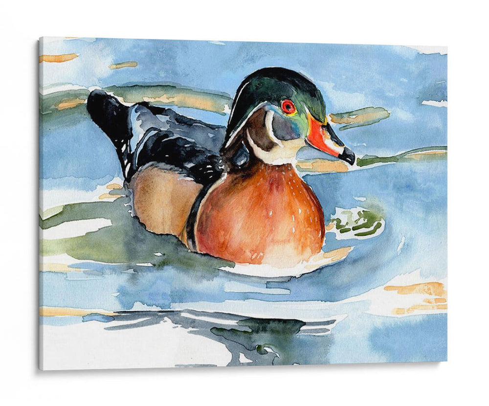 Acuarela Woodduck Ii - Jennifer Paxton Parker | Cuadro decorativo de Canvas Lab
